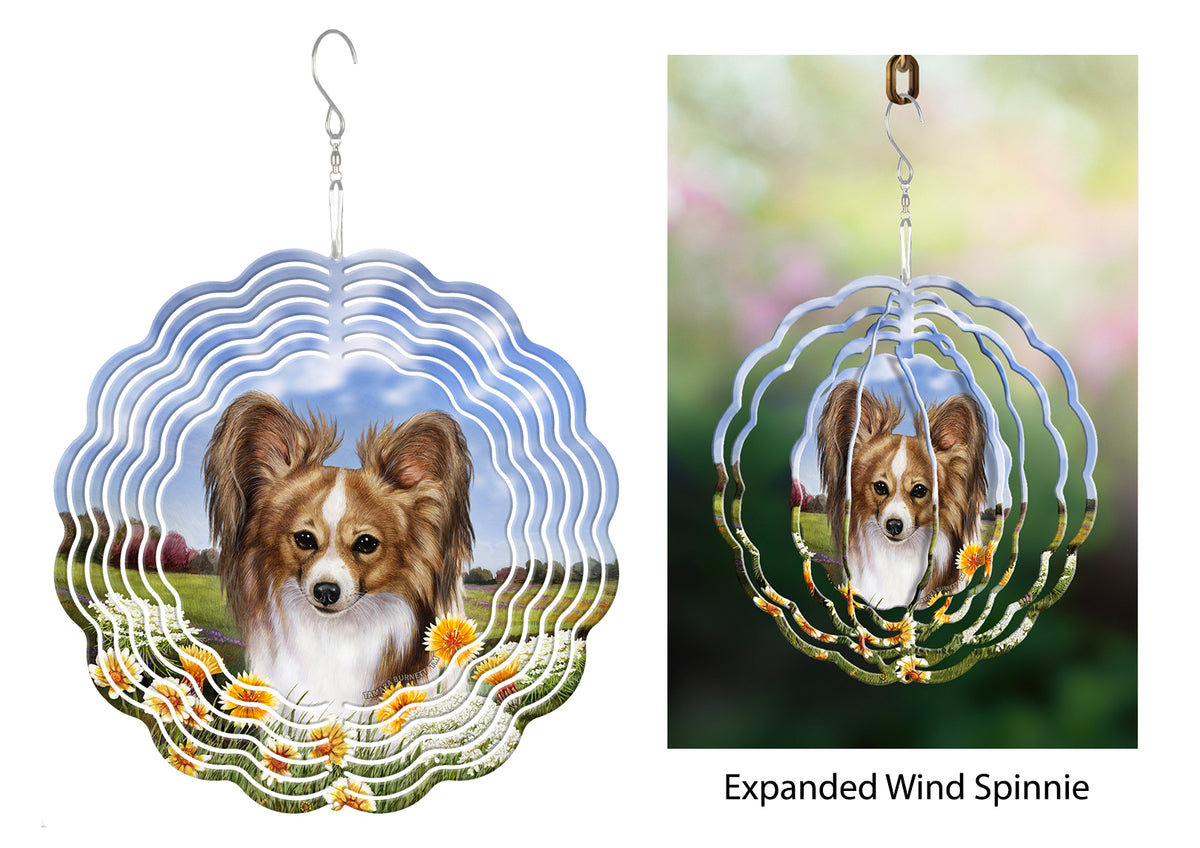 Papillon Sable And White Wind Spinner