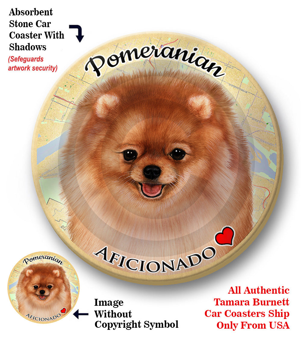 photo of Pomeranian
