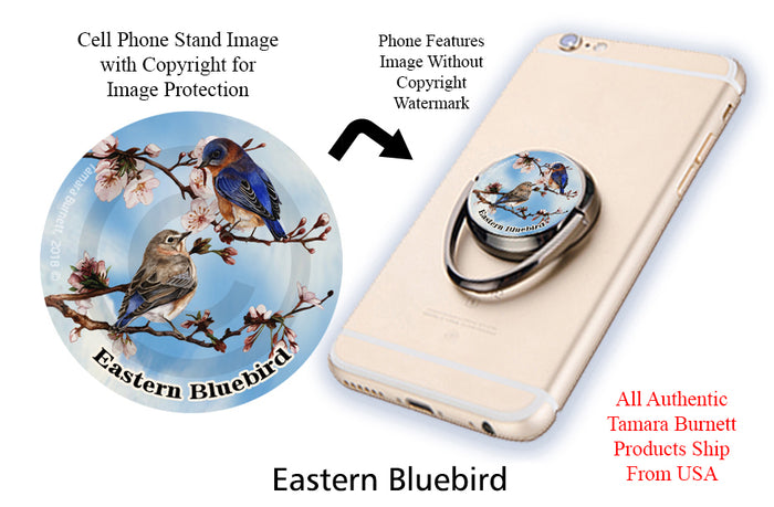 Eastern Bluebird Phone Stand