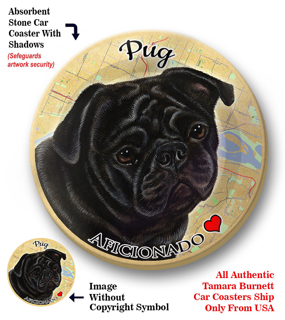 photo of Pug