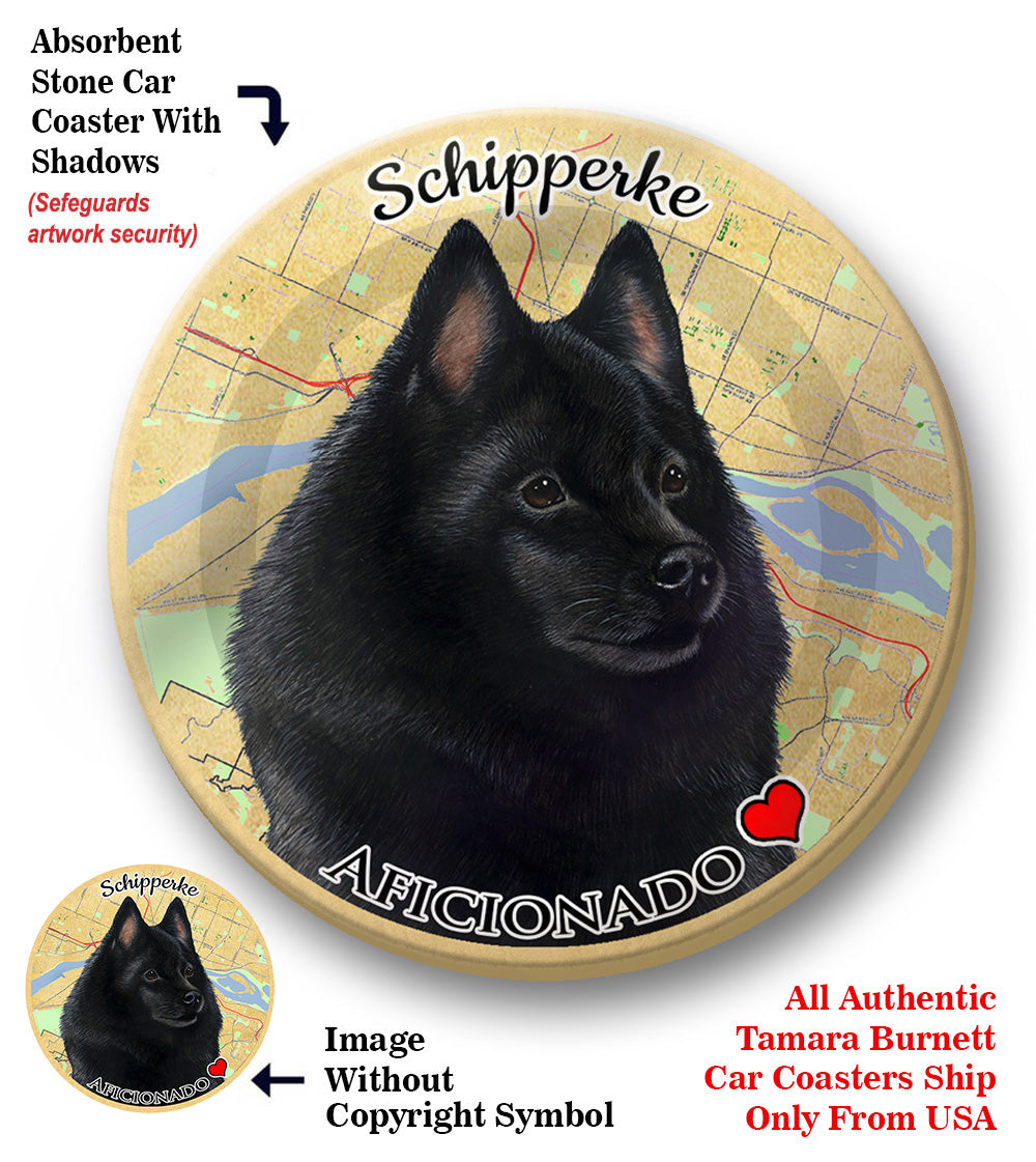 photo of Schipperke