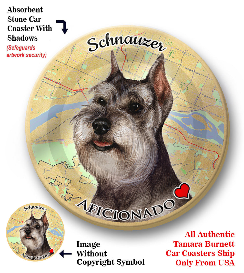 photo of Schnauzer