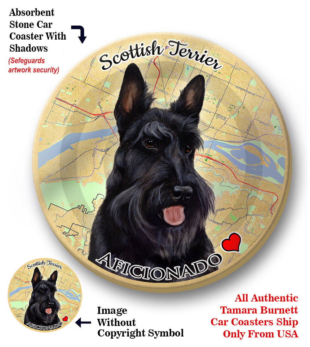 photo of Scottish Terrier