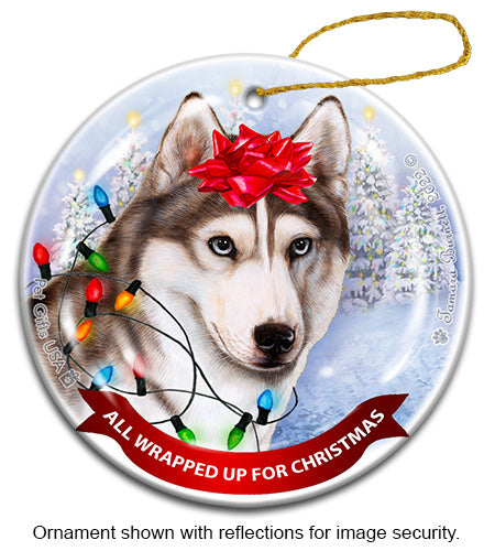 Siberian Husky All Wrapped Up Ornament