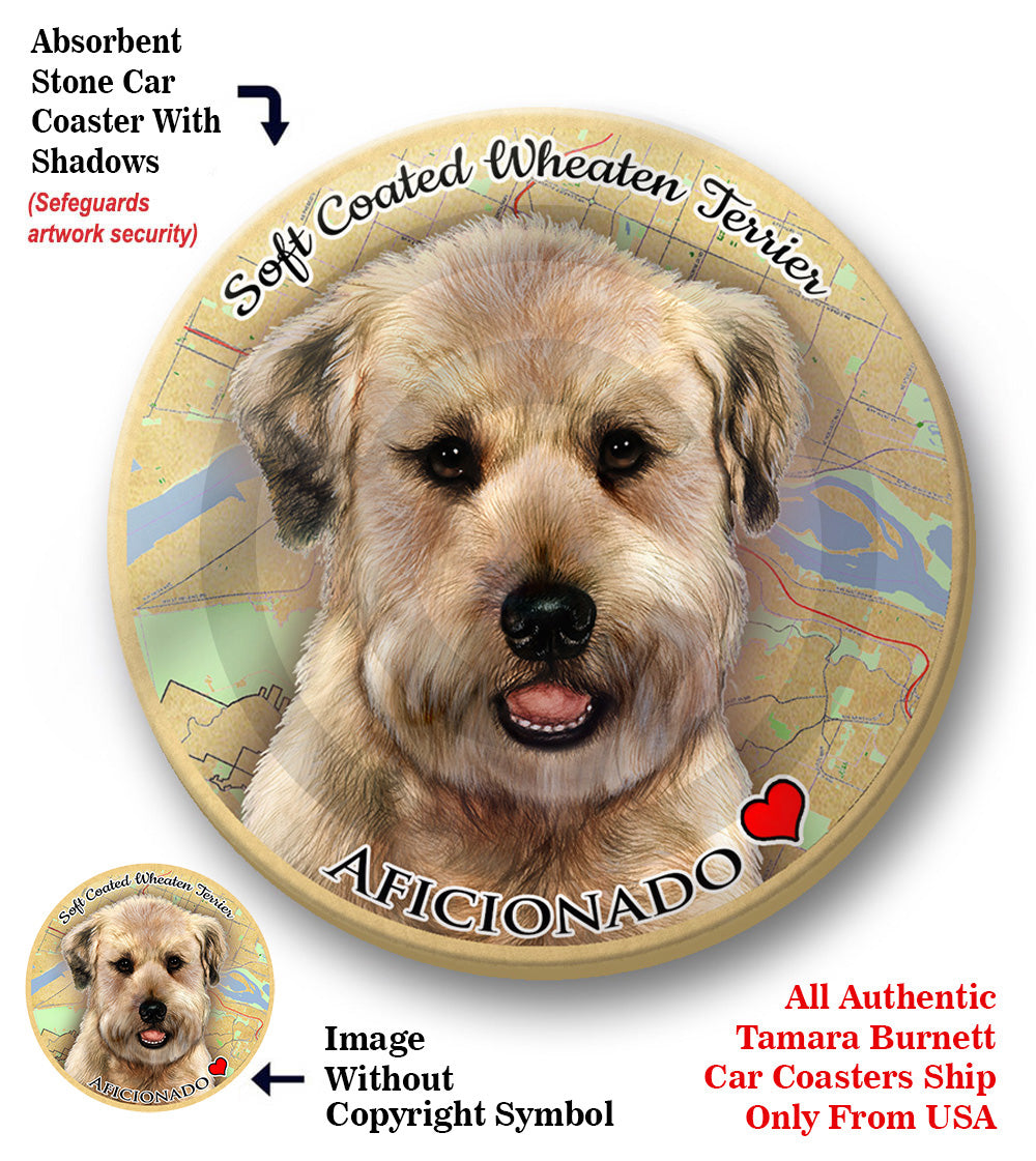 photo of Soft Coated Wheaten