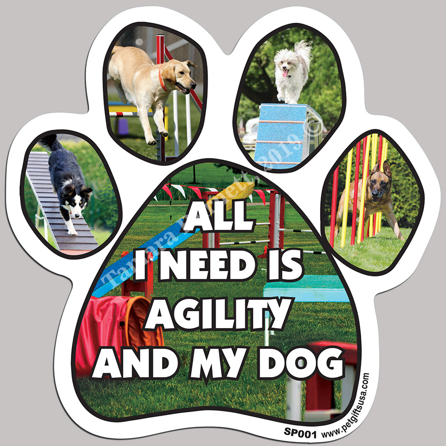  Sports Paw Shaped Magnets