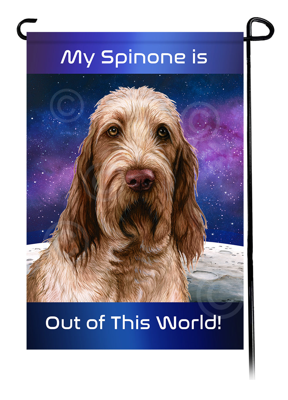 Spinone Italiano Out Of This World - Garden Flag