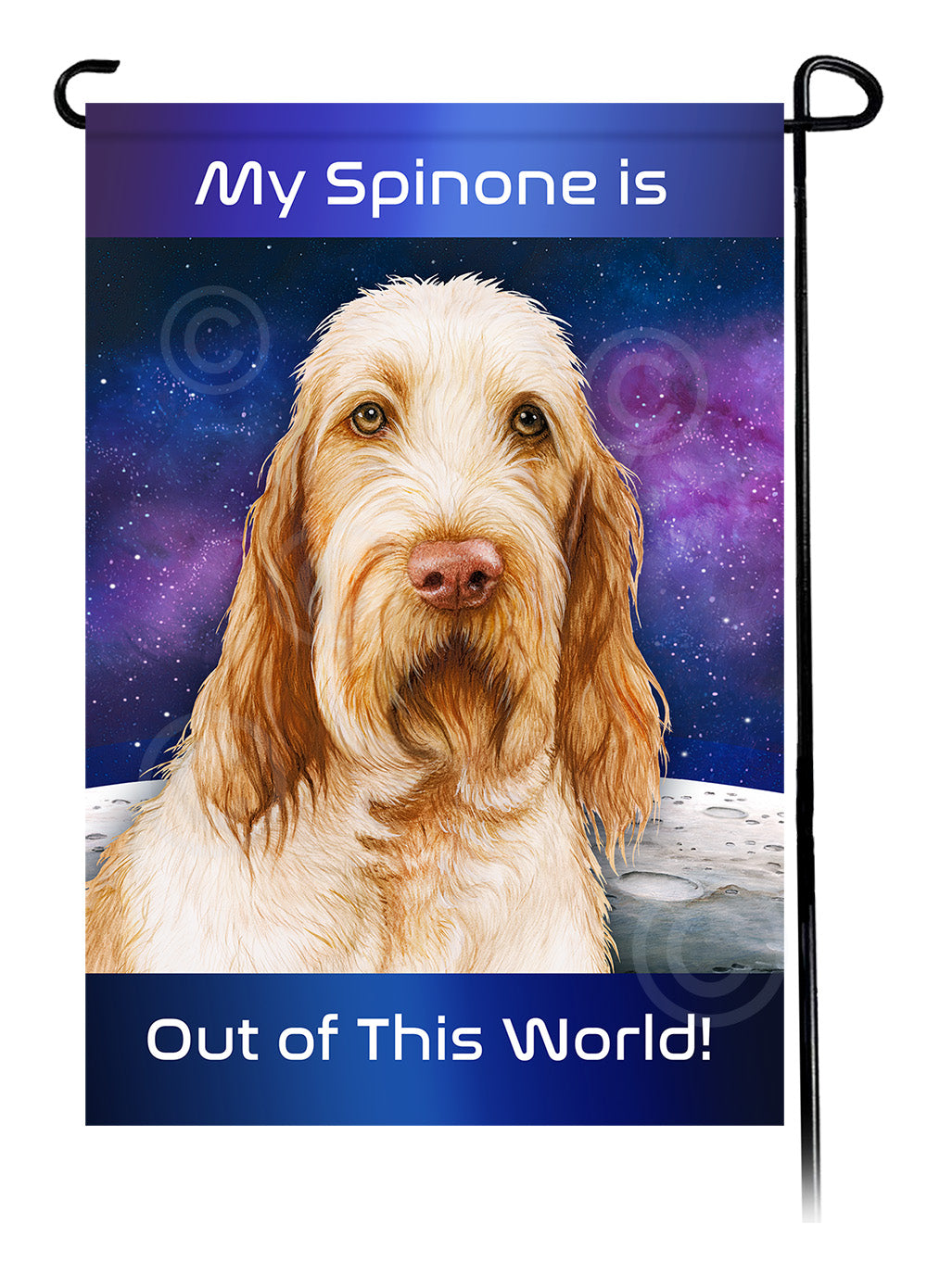 Spinone Italiano Out Of This World - Garden Flag