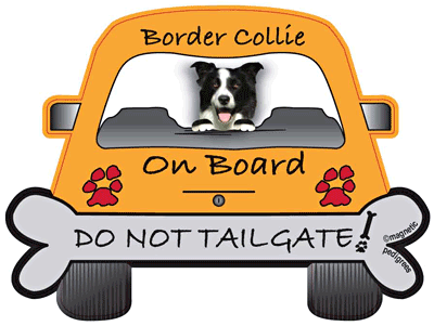 Border Collie Do Not Tailgate Magnets