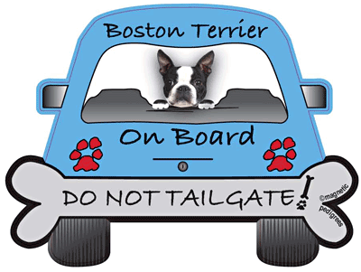 Boston Terrier Do Not Tailgate Magnets