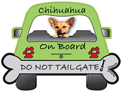 Chihuahua Do Not Tailgate Magnets