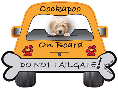 Cockapoo Do Not Tailgate Magnets