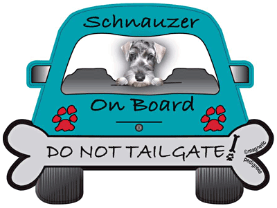 Schnauzer Do Not Tailgate Magnets
