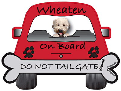 Soft Coated Wheaten Do Not Tailgate Magnets