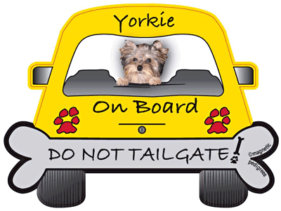 Yorkshire Terrier Do Not Tailgate Magnets