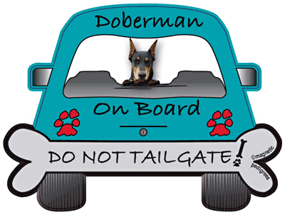 Doberman Pinscher Do Not Tailgate Magnets
