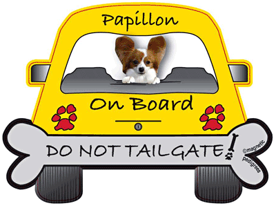 Papillon Do Not Tailgate Magnets