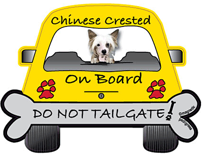 Chinese Crested Do Not Tailgate Magnets
