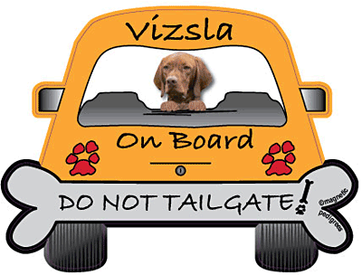 Vizsla Do Not Tailgate Magnets