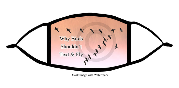 Why Birds Shouldn't Text and Fly Face Mask