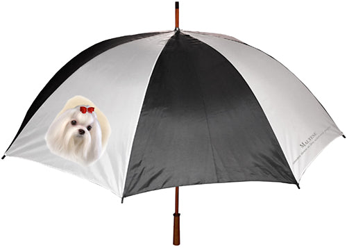 Maltese Umbrella