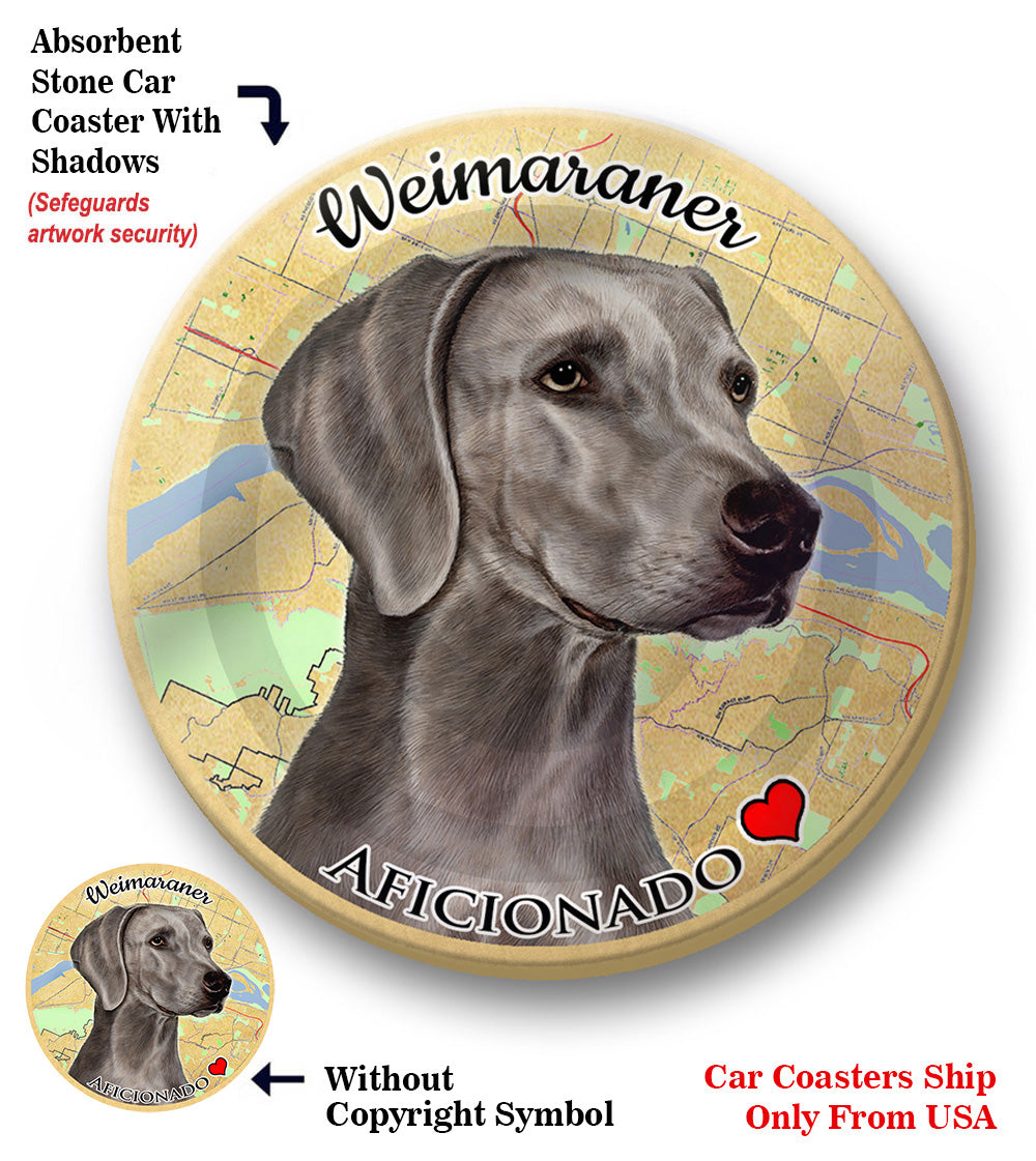 photo of Weimaraner