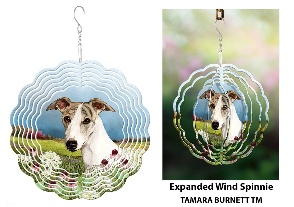 Whippet Fawn Brindle and White Wind Spinner