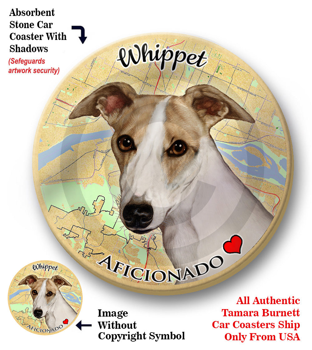 photo of Whippet