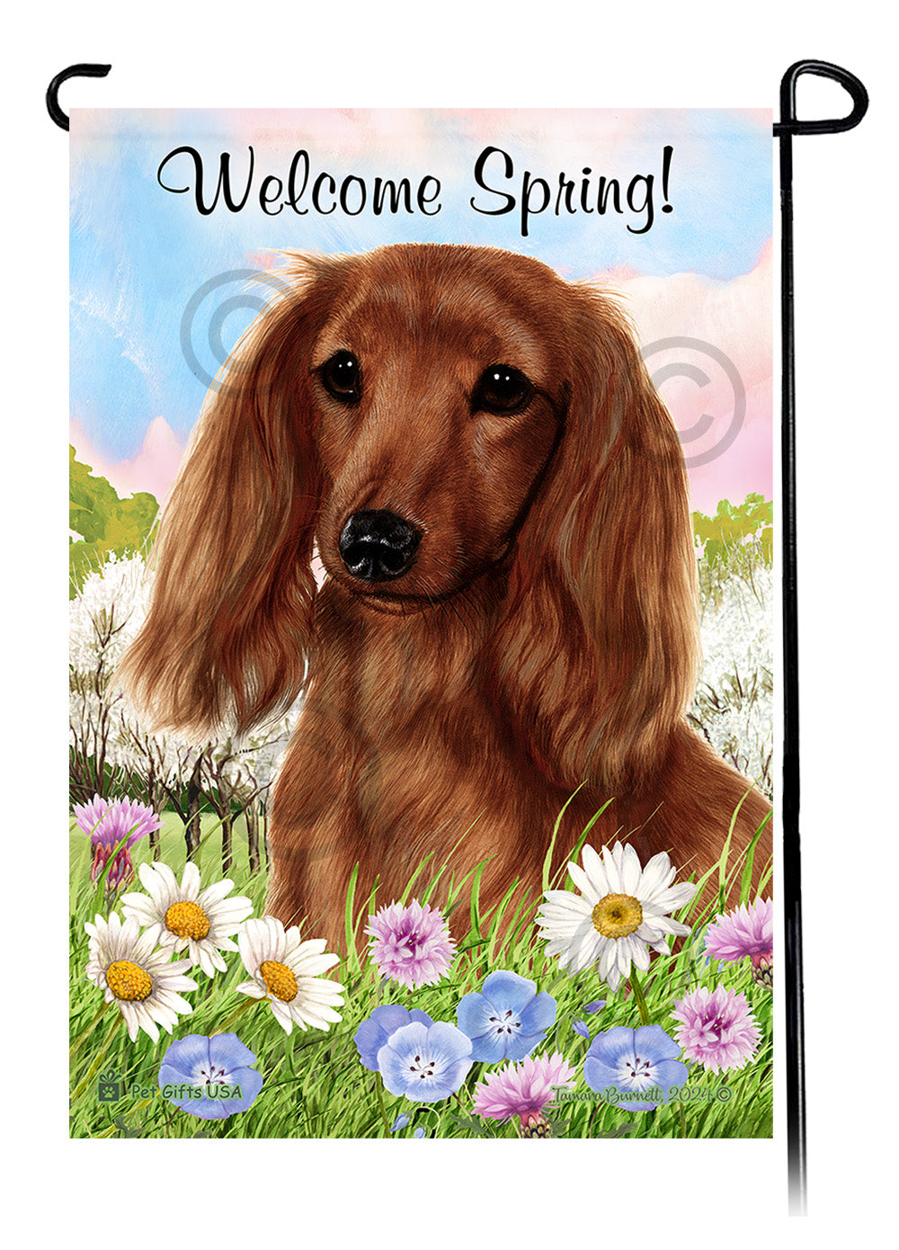Dachshund Welcome Spring - Garden Flag