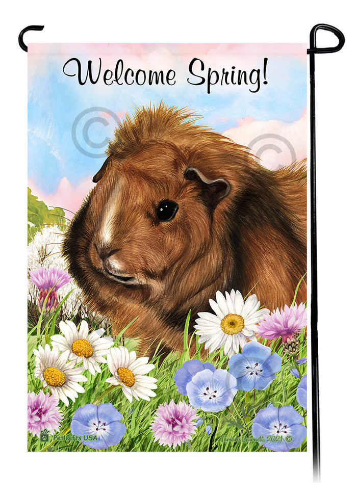 Abyssinian Guinea Pig Welcome Spring Garden Flags