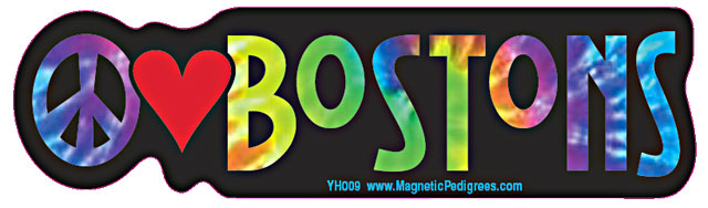 Boston Terrier Yippie Hippie Bumper Sticker