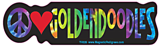 Goldendoodle Yippie Hippie Bumper Sticker