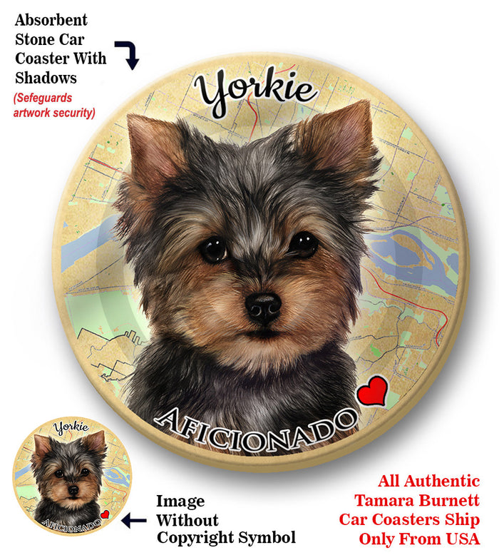 photo of Yorkshire Terrier